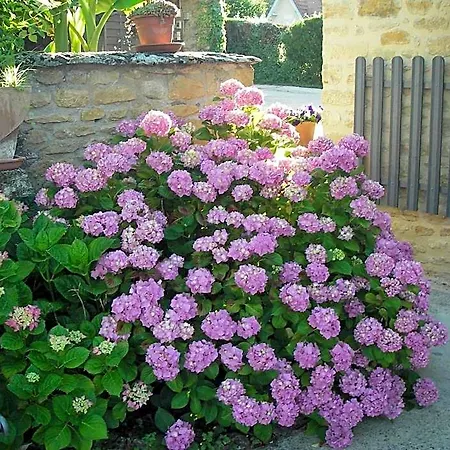 Les 4 Saisons 3* Sarlat